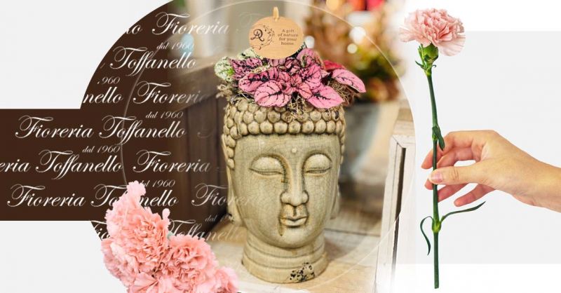 Offerta Vaso Testa di Buddha porta pianta in ceramica Vicenza