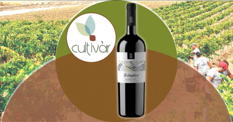 ENOTECA CULTIVAR - Offerta vendita vino rosso Perricone Biologico