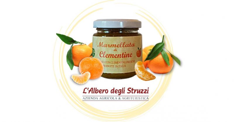 Offerta vendita online marmellata di clementine produzione propria 100 gr
